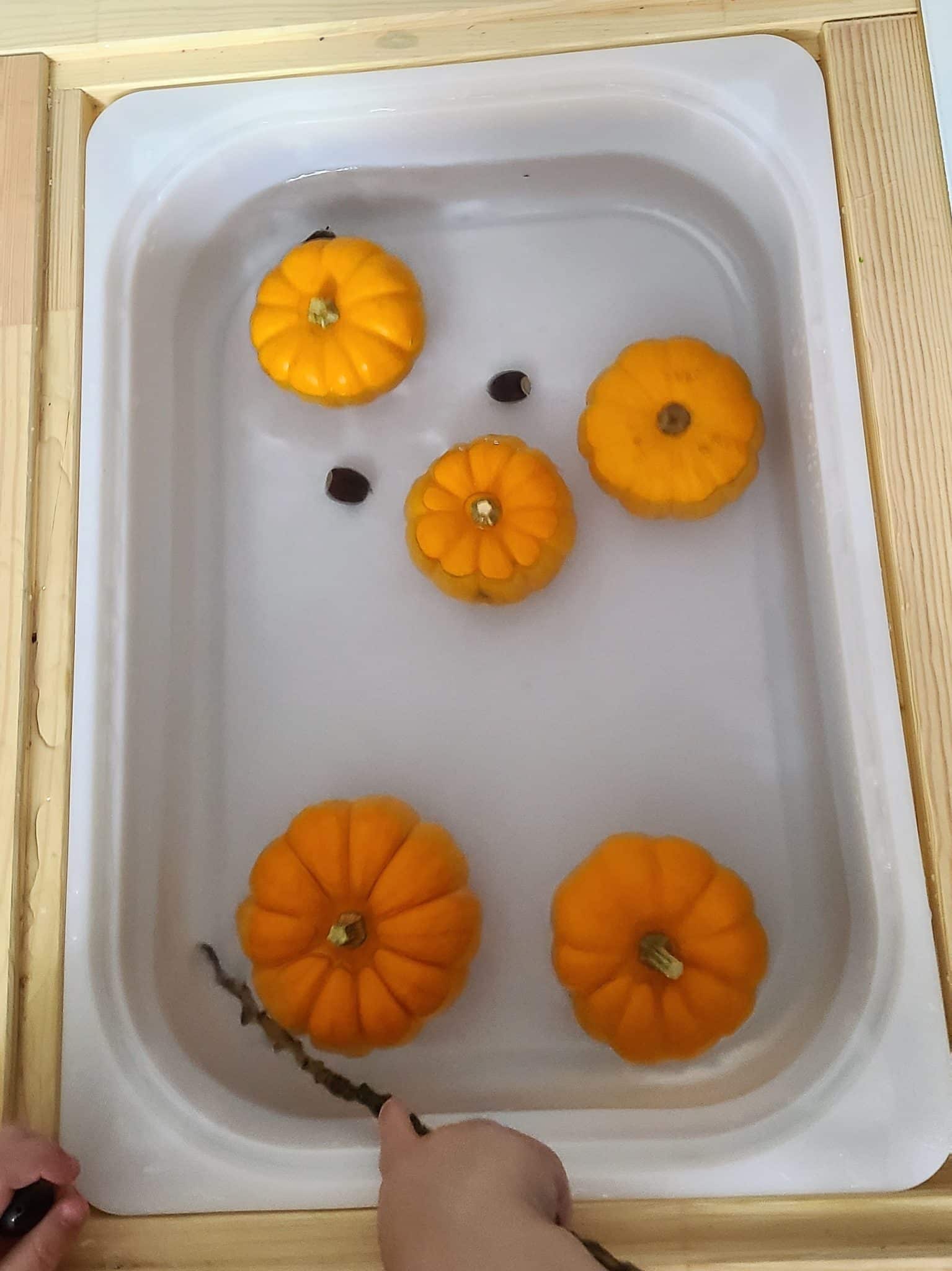 bathing nature items for eco-friendly fall crafts and activities