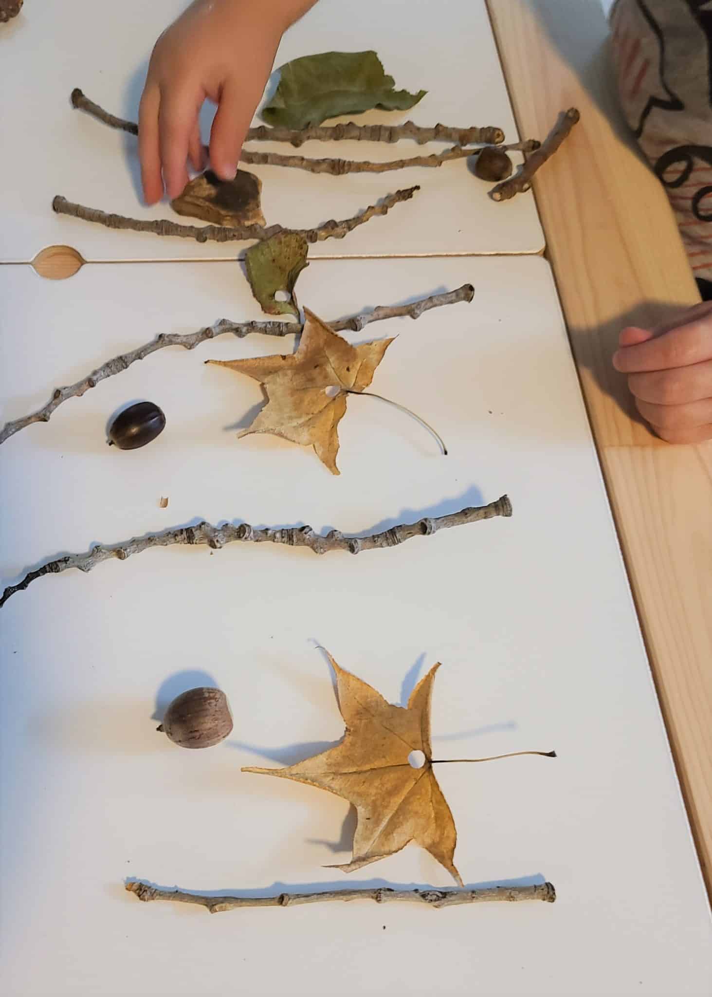 nature patterns- eco-friendly fall crafts and activities