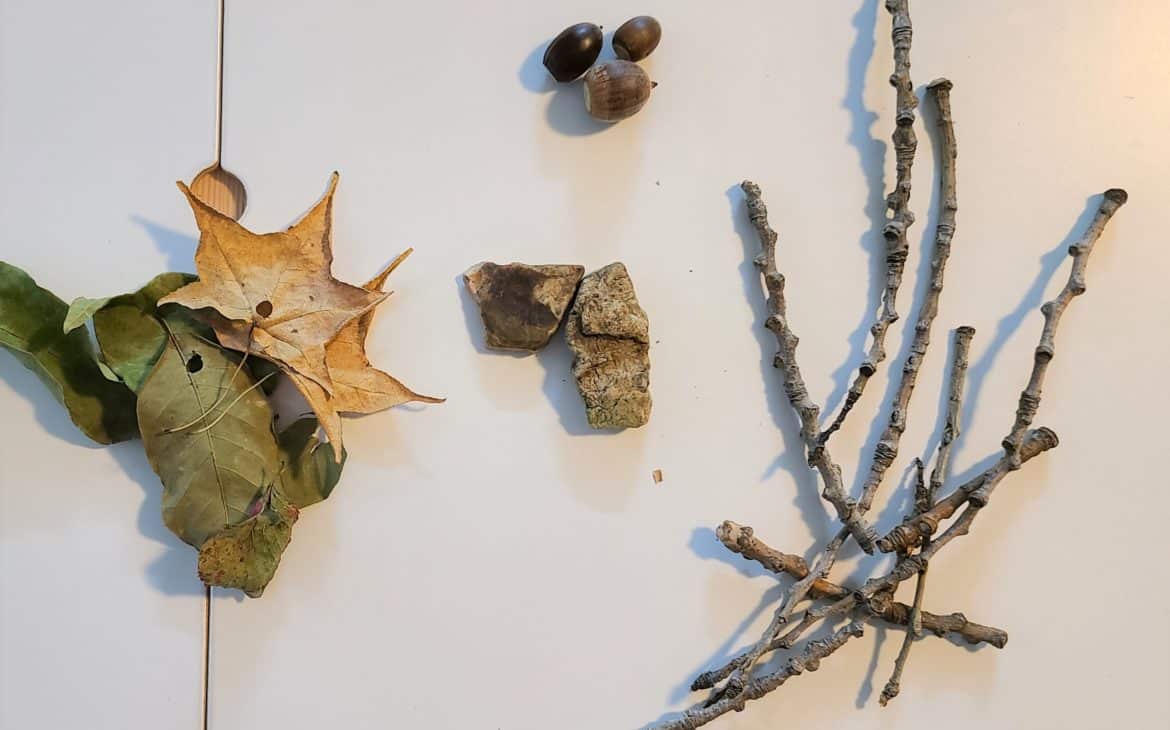 nature items gathered for art supplies for eco-friendly fall crafts and activities