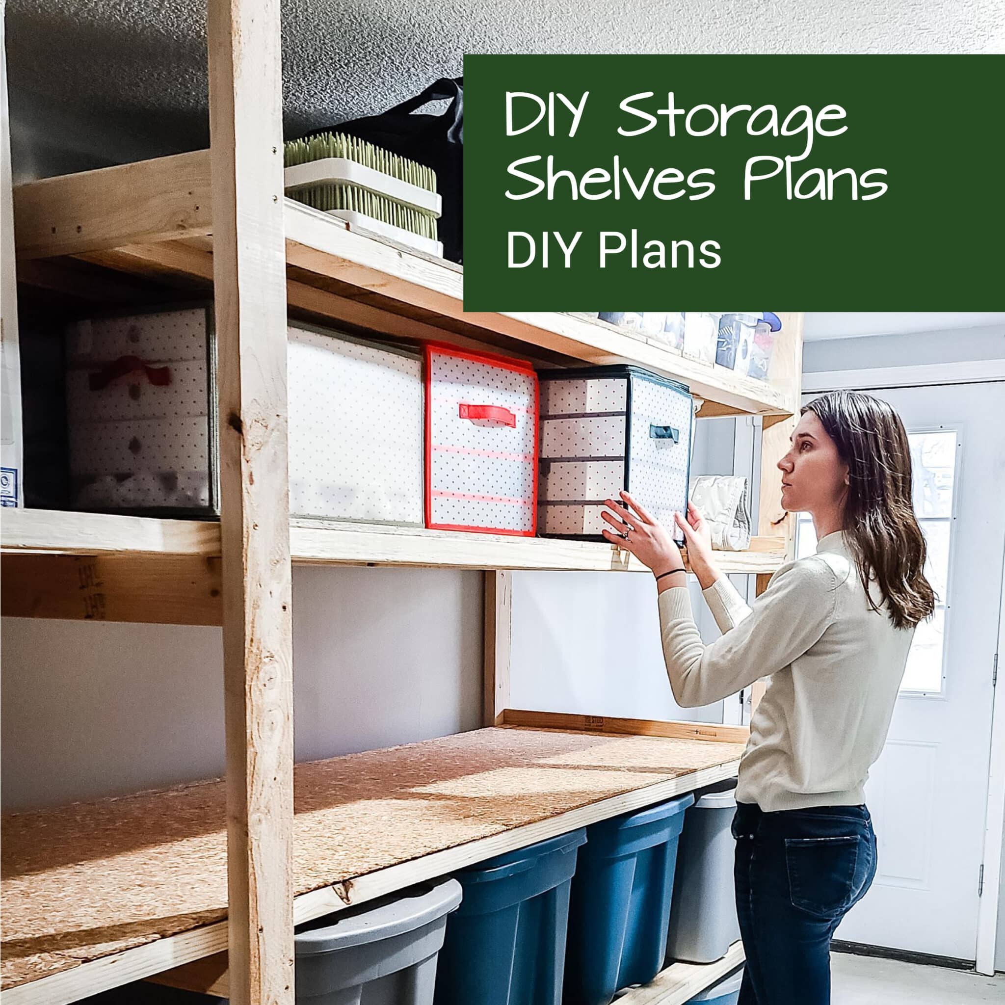 Custom DIY Storage Shelves Plans - Big Living