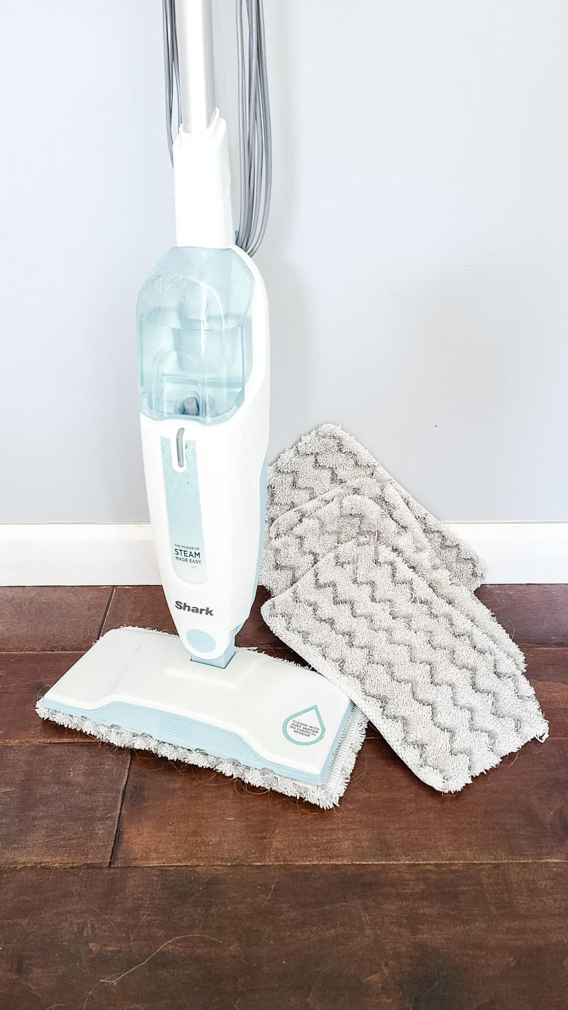 Eco-friendly Checklist for Spring Cleaning - Steam Mop