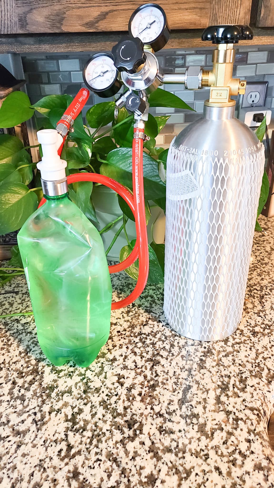 Carbonation process for homemade soda