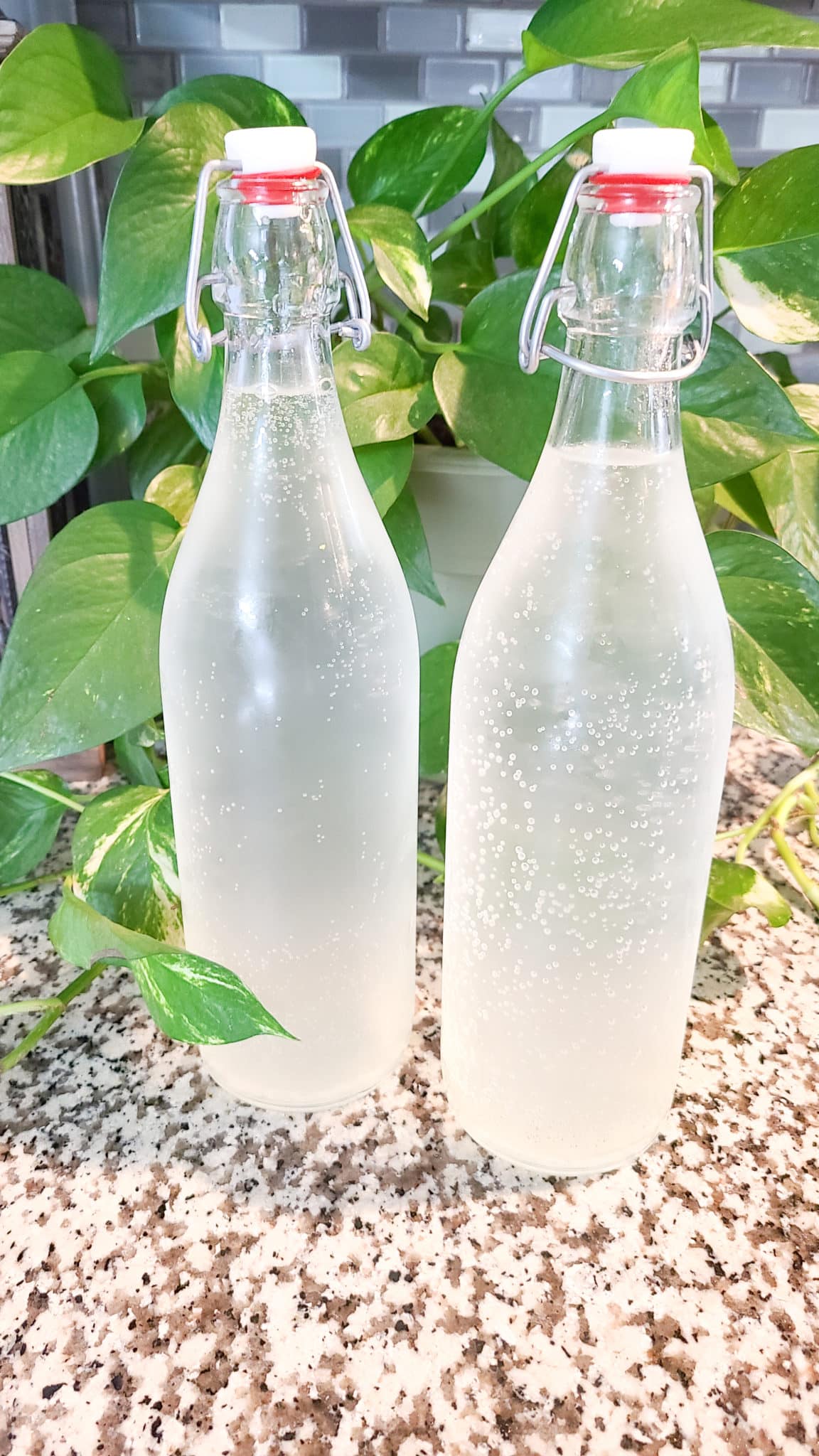 Homemade Soda - Ginger Ale in glass bottles