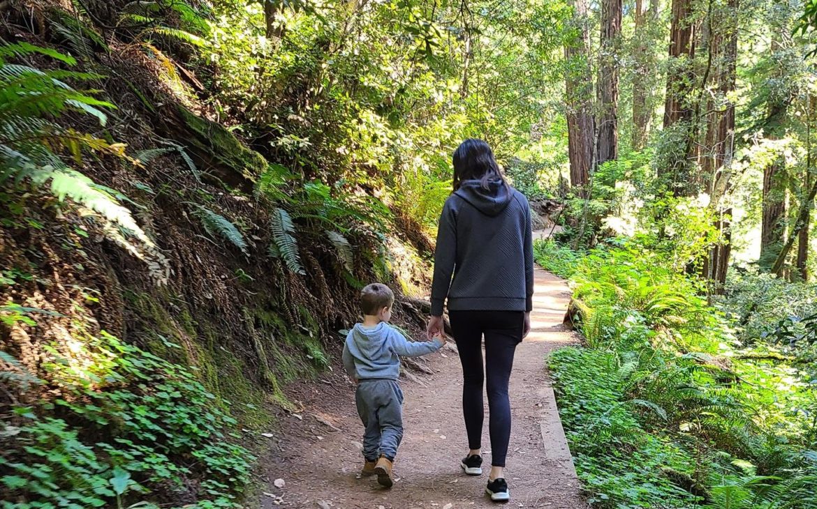 Eco-friendly Travel Tips for Families - Hiking Around National Parks