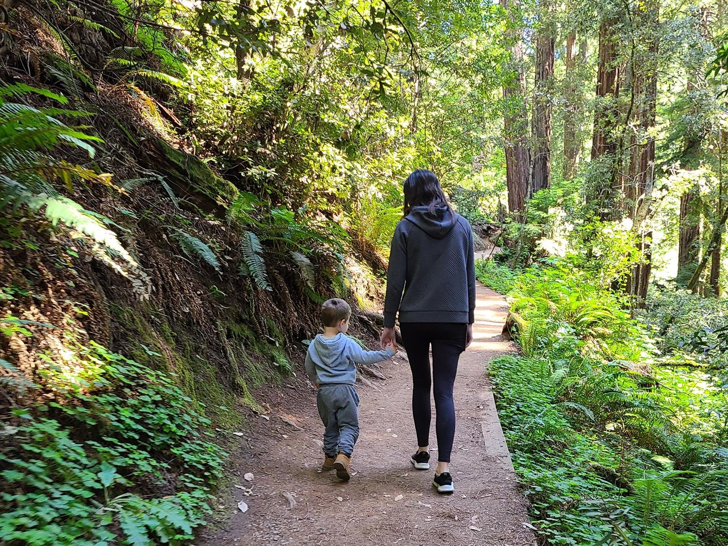 Eco-friendly Travel Tips for Families - Hiking Around National Parks