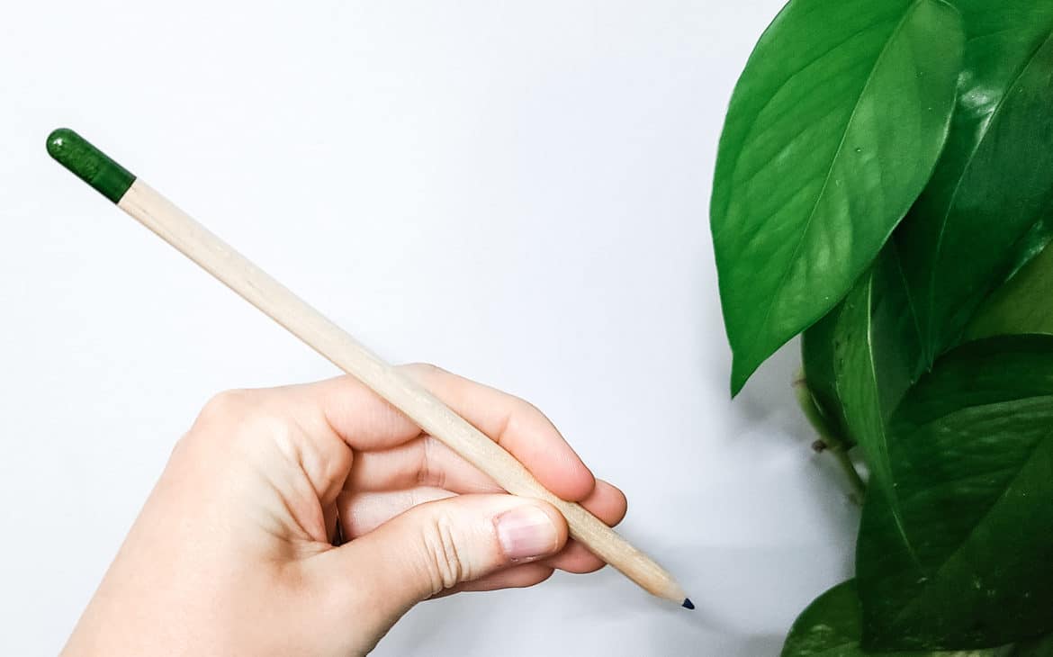Eco-friendly School Supplies list - showing pencil in a hand near a plant