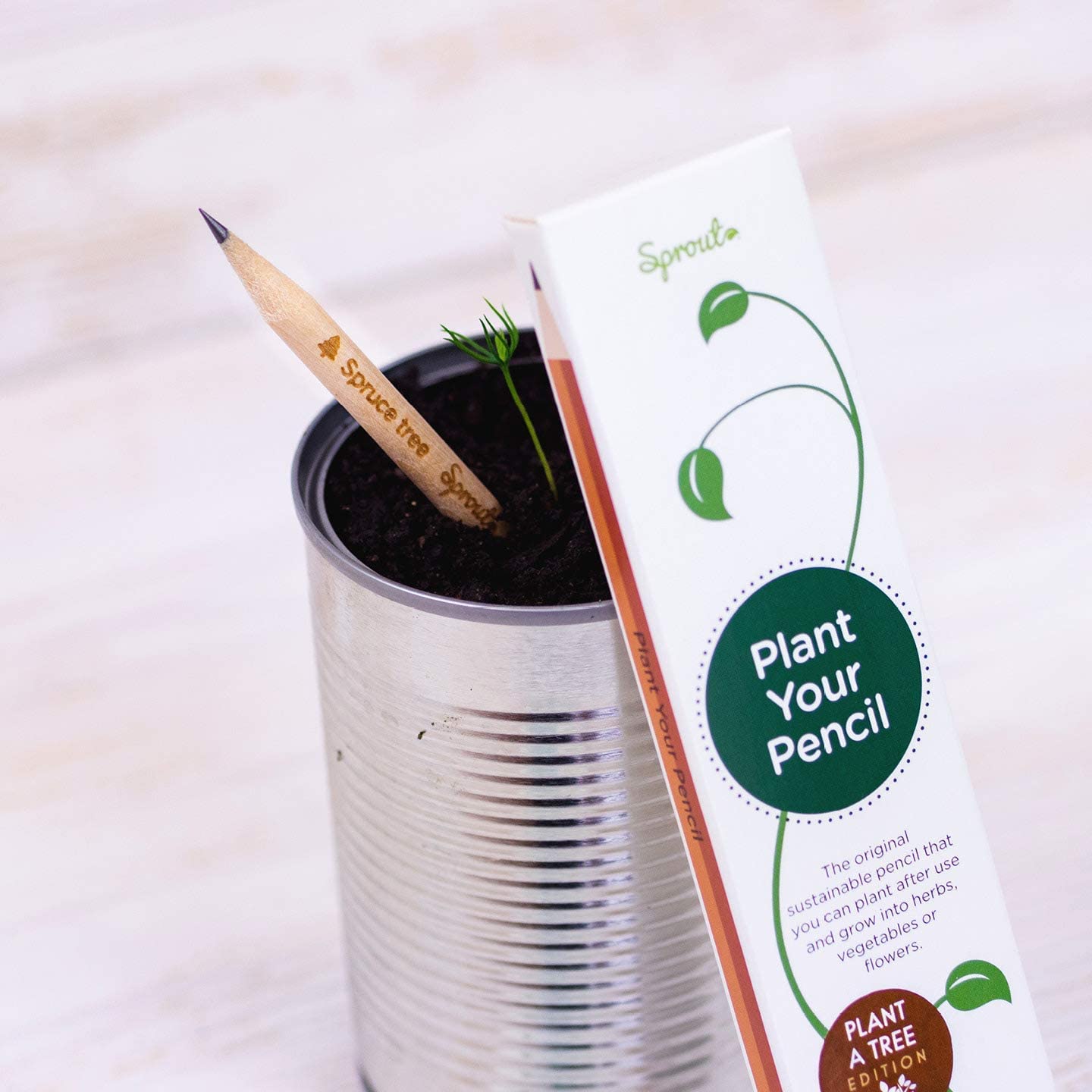 Eco-friendly school supplies - plantable pencil shown in container of soil growing