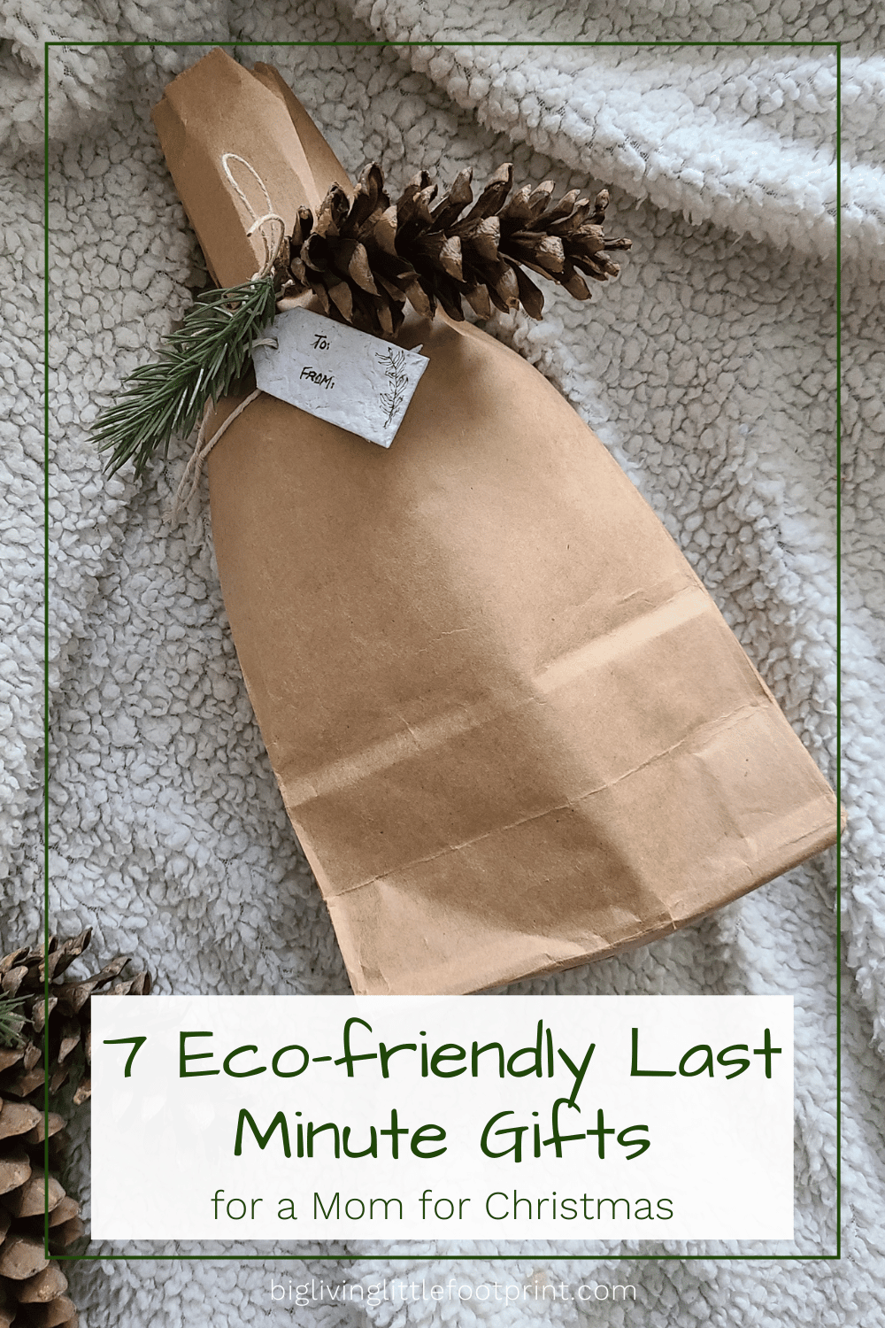7 Eco-friendly Last Minute Gifts for a Mom for Christmas - Big Living