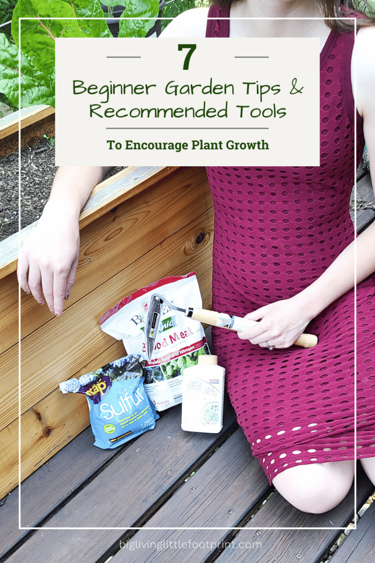 7 Beginner Garden Tips & Recommended Tools To Encourage Plant Growth