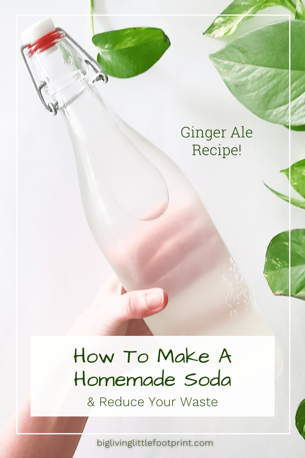 How To Make A Homemade Soda & Reduce Your Waste