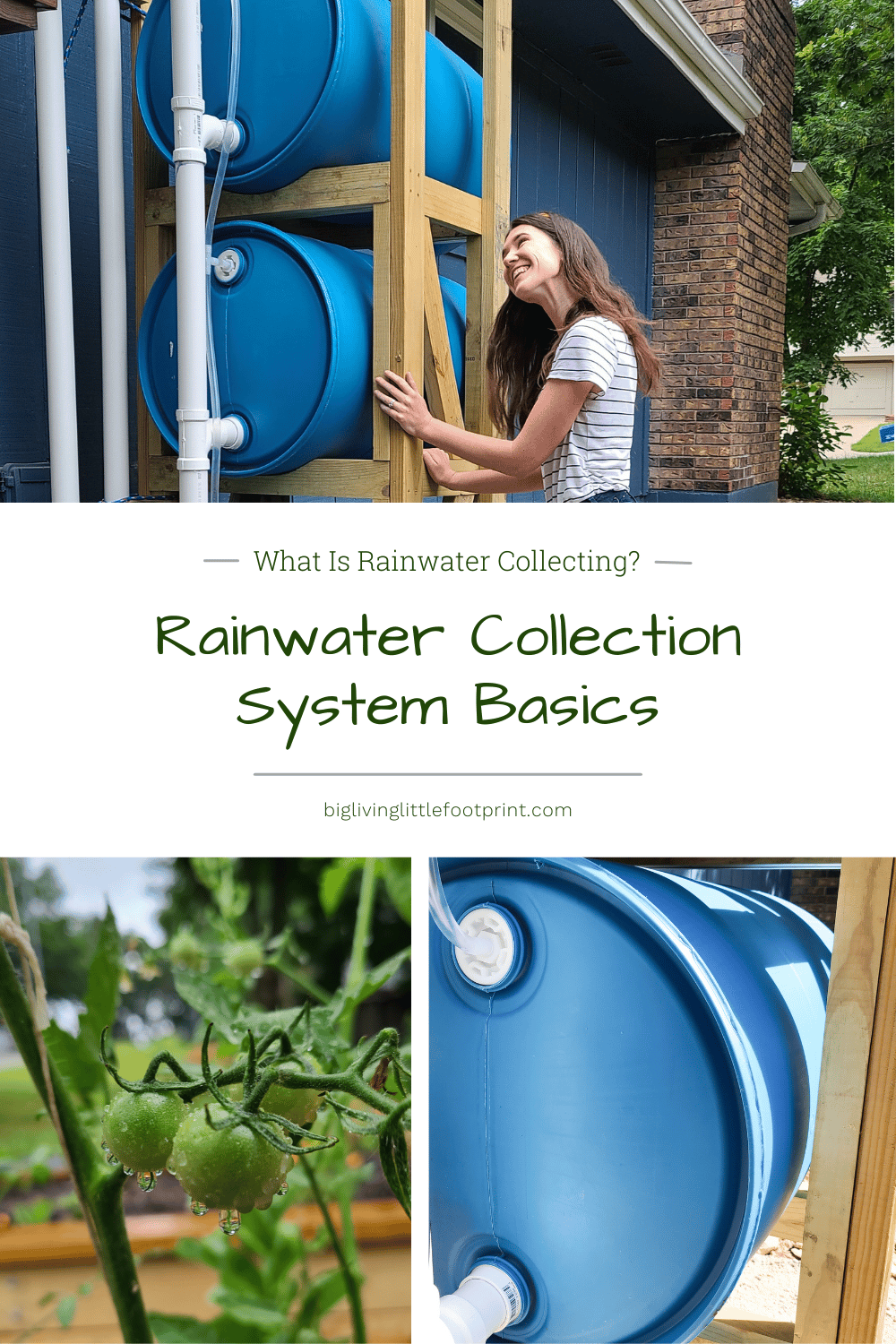 What Is Rainwater Collecting – Rainwater Collection System Basics