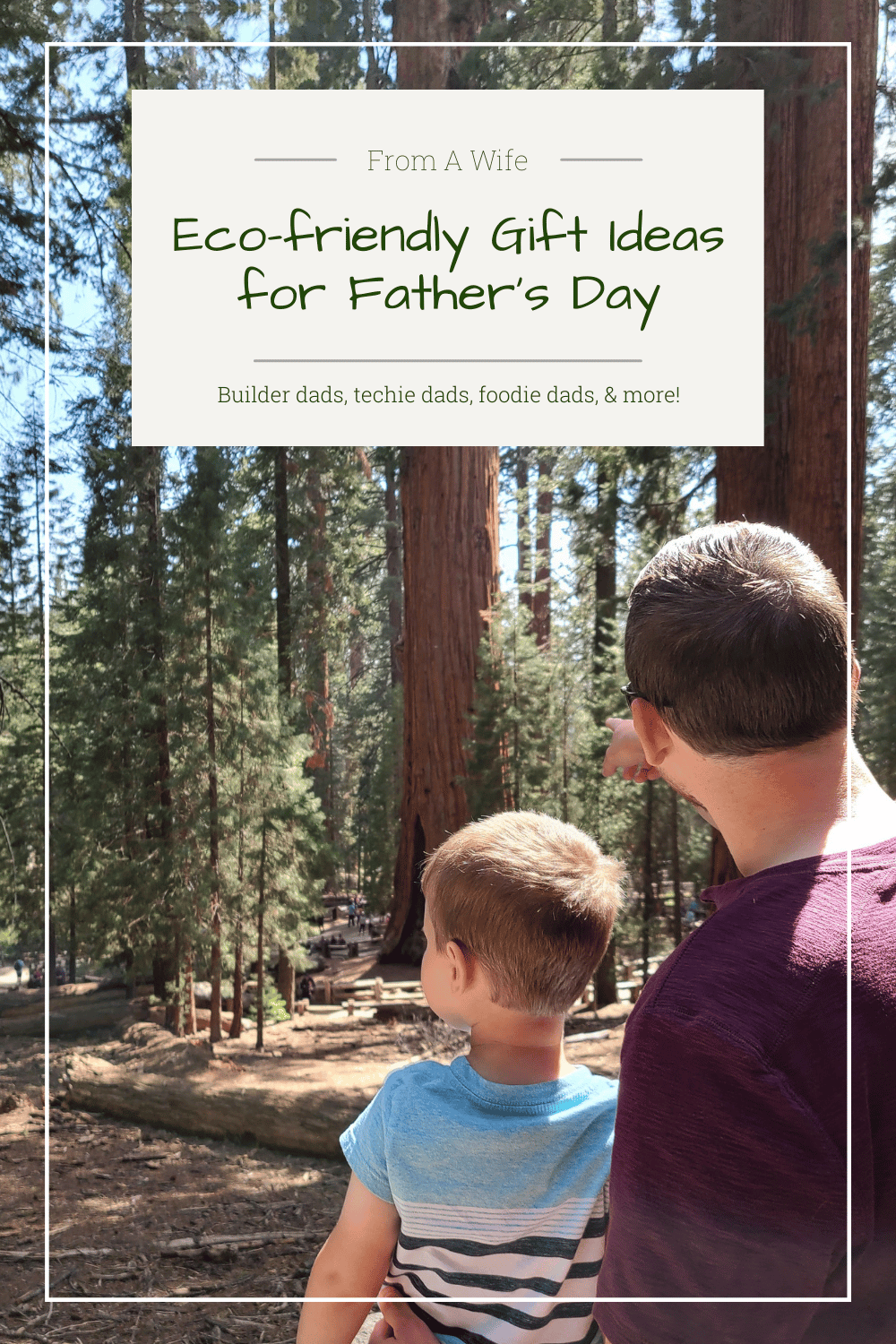 Eco-friendly Gift Ideas for Father’s Day From A Wife