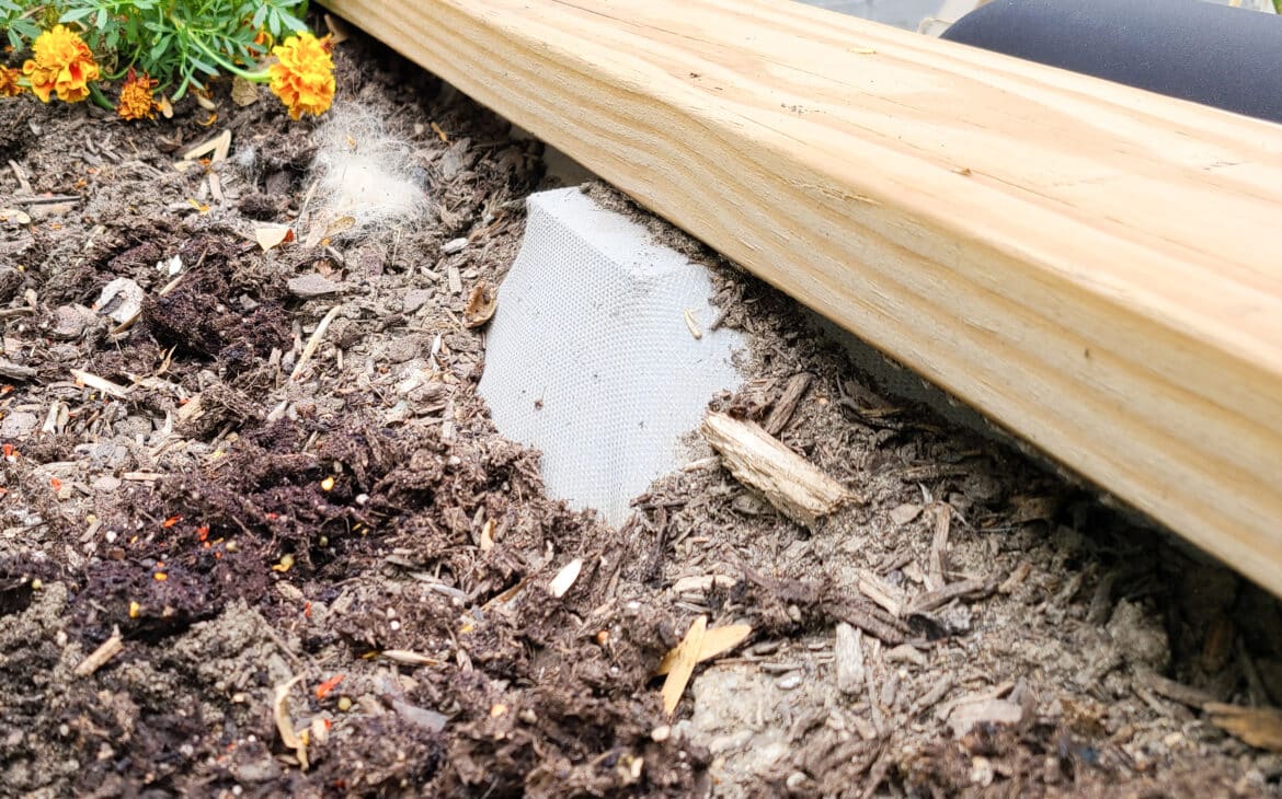 dropped soil levels in one of the terraced garden beds
