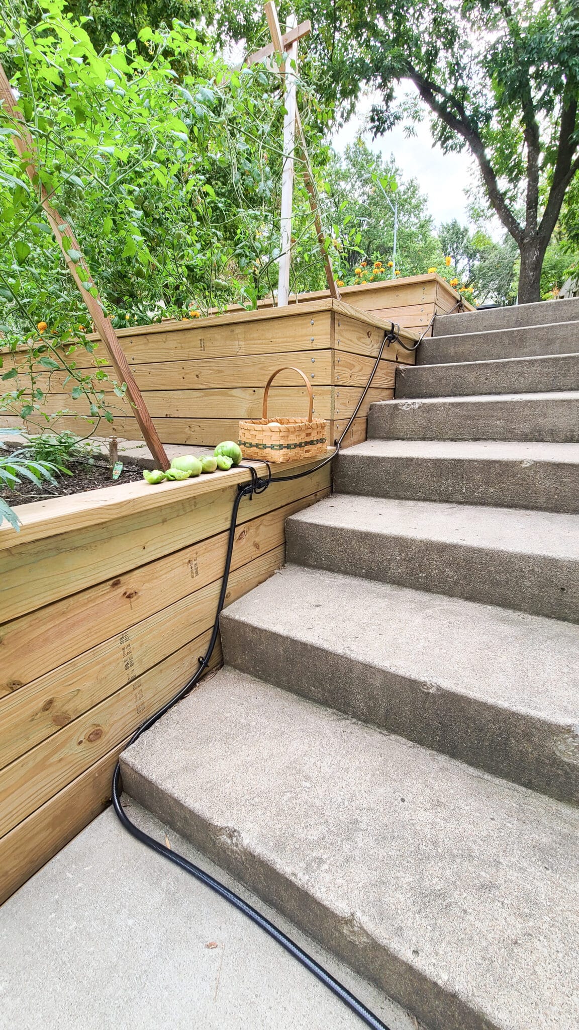 flexible irrigation line running along stairs for the terraced garden beds