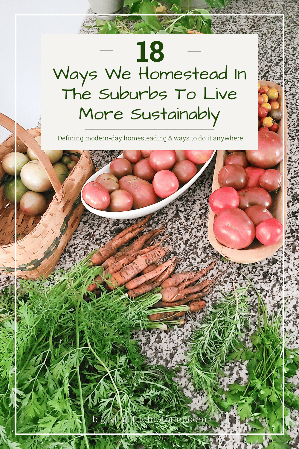 18 Ways We Homestead In The Suburbs To Live More Sustainably