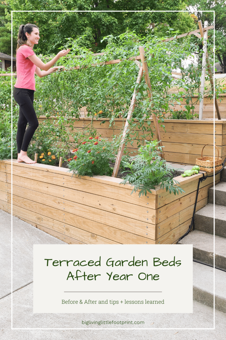 Terraced Garden Beds After One Year – Words of Advice