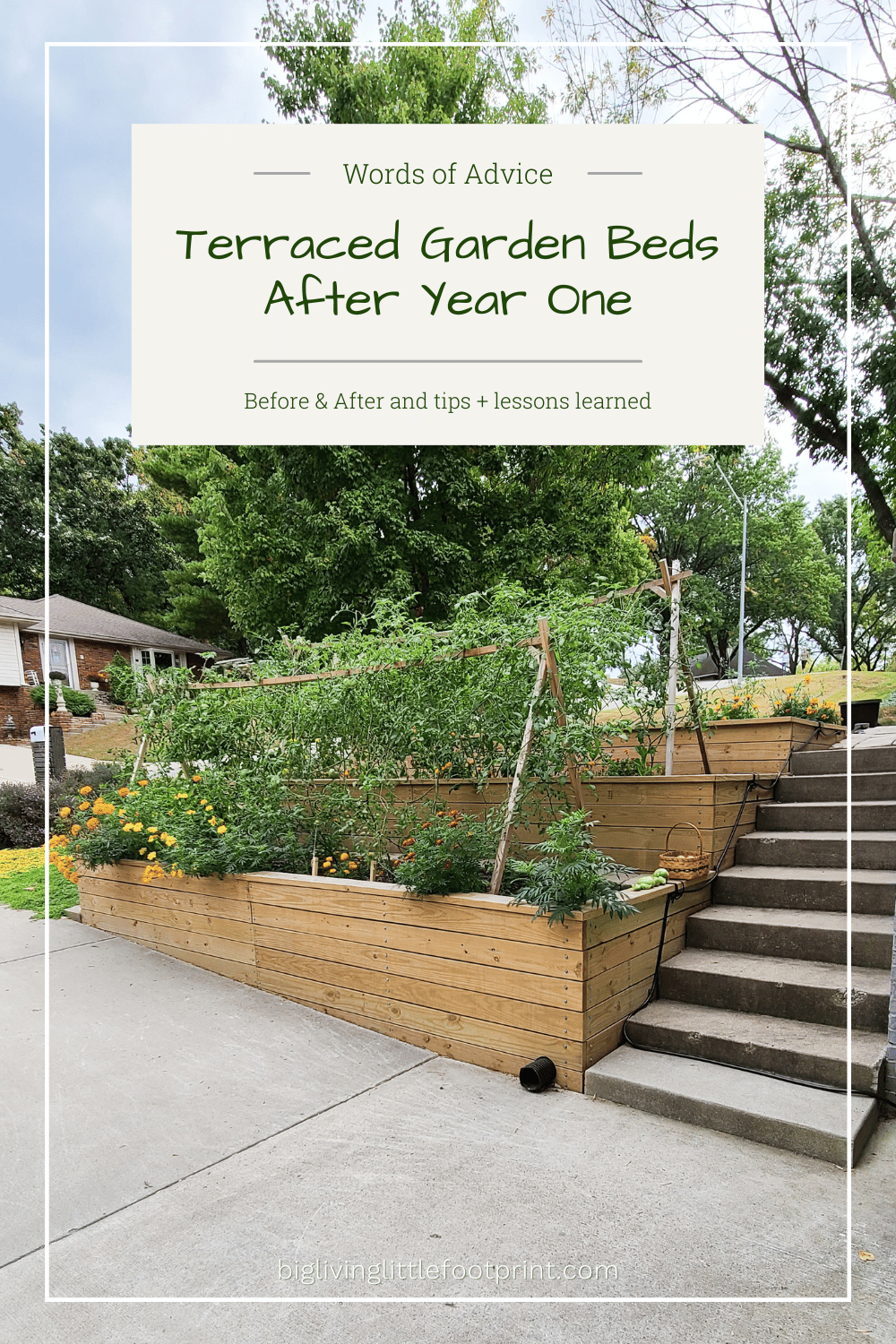 terraced garden beds for a hillside vegetable garden