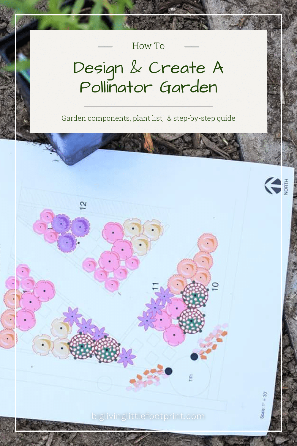 How To Design & Create A Pollinator Garden