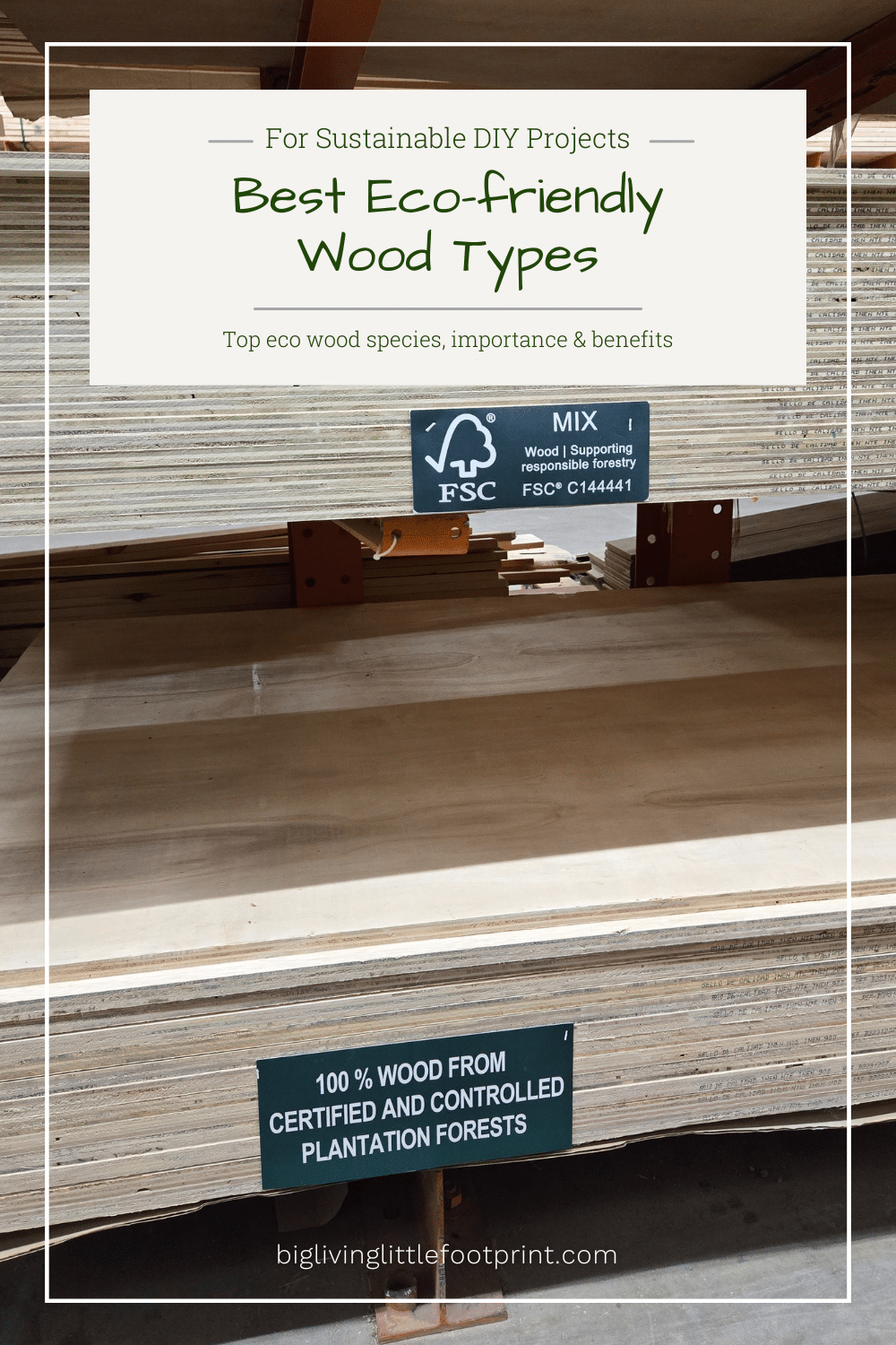 Best Eco-friendly Wood Types For Sustainable DIY Projects